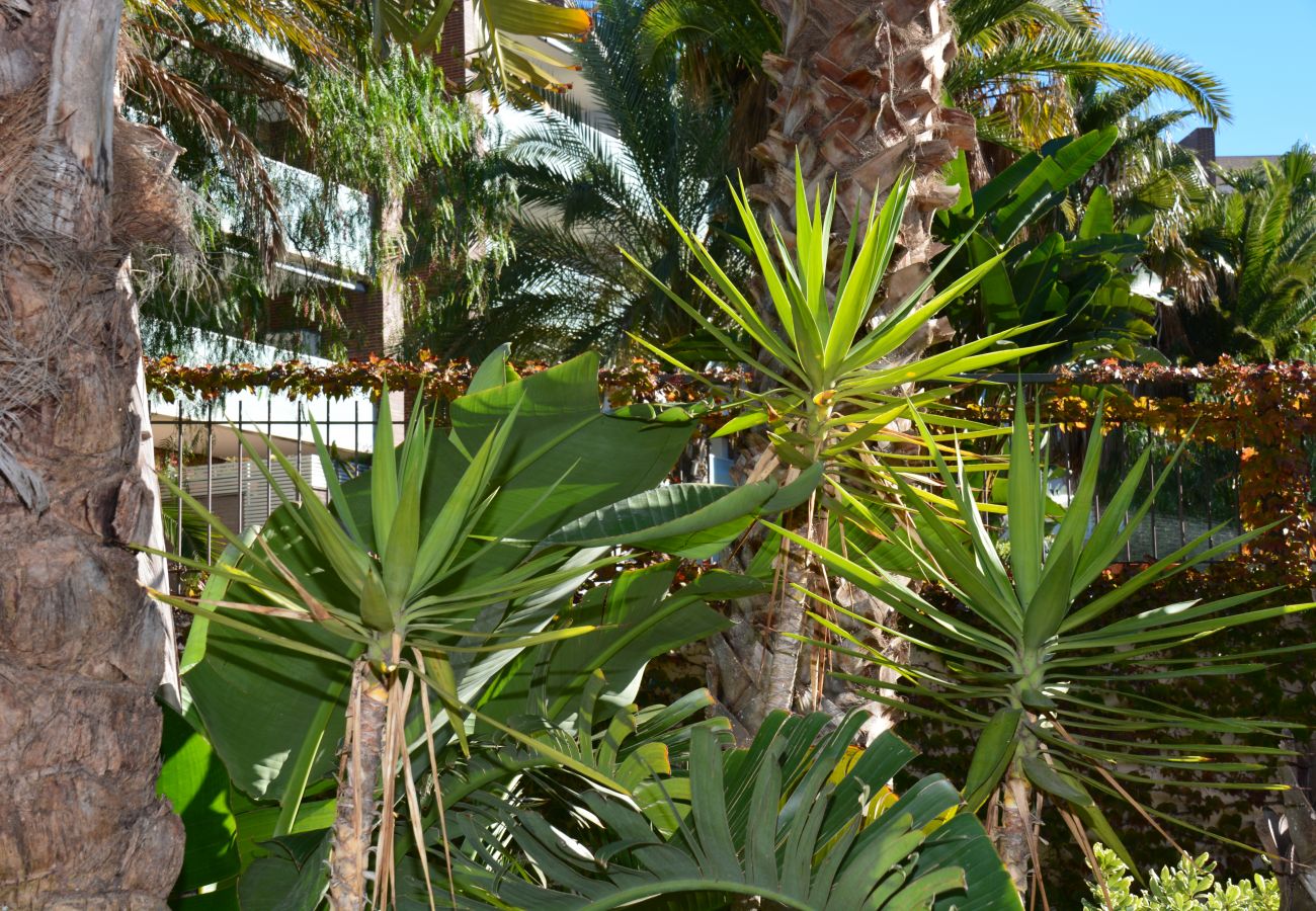 Апартаменты на Салоу - AQQUARIA BCB1